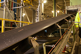 Mineral Processing