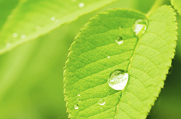 水and Natural Environment