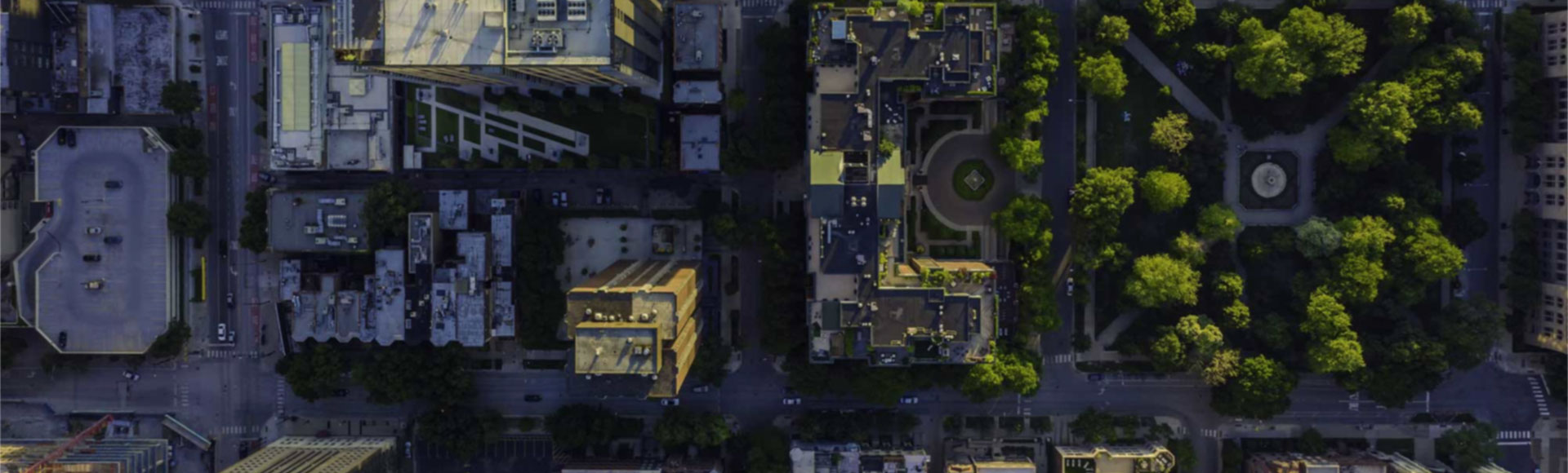 Mosiac - The Decision Intelligence platform for Improved Economic Prosperity