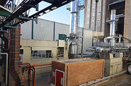 Anheuser-Busch InBev