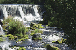 Lower Connecticut River Relicensing Study