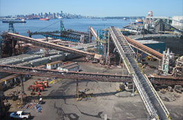 Neptune Bulk Terminals