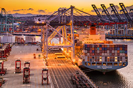 TraPac Terminal Automation Support